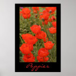 Poppies posters