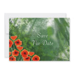 Poppies Save The Date Announcement