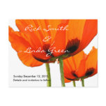 Poppies ! Save the Date Post Cards
