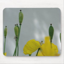 Poppies & shade (1) mouse pad