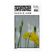 Poppies & shade (1) postage stamp