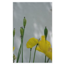 Poppies & shade (1) stationery by PBsecretgarden Poppies & shade (1) stationery