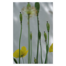 Poppies & shade (2) stationery by PBsecretgarden Poppies & shade (2) stationery