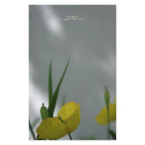 Poppies & shade (6) stationery by PBsecretgarden Poppies & shade (6) stationery
