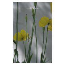 Poppies & shade (9) stationery by PBsecretgarden Poppies & shade (9) stationery