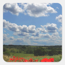 Poppies Square Sticker