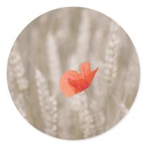 poppies round stickers