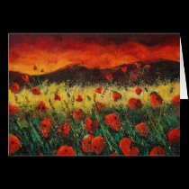 poppies sunset 68 cards