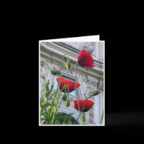 Poppies, Villa Borghese, Rome cards