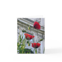 Poppies, Villa Borghese, Rome cards