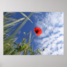 Poppy 2012 3 poster