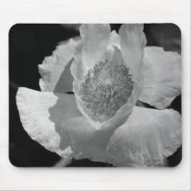 Poppy 5 mouse pads