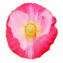 Poppy 90 ~ ornament photo sculptures