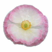 Poppy 97 ~ ornament photo sculptures
