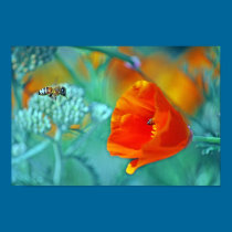 Poppy and Bees posters