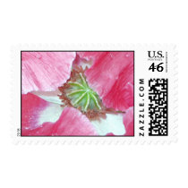 Poppy Awakening Postage Stamp by slumbering Poppy Awakening Postage Stamp