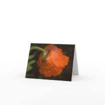 poppy backside card
