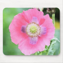 Poppy Bloom - Papaver Somniferum Mousepads