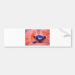 poppy bumper stickers
