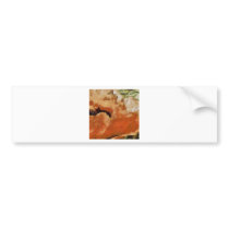Poppy Bumper Stickers
