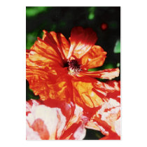 POPPY BUSINESS CARDS