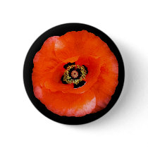 Poppy , button by ginaayerssignore Poppy , button