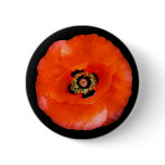 Poppy , button