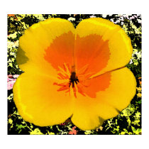 Poppy Canvas Prints by wingedturtle Poppy Canvas Prints