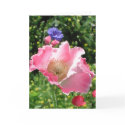 Poppy cards