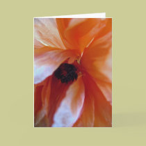 Poppy cards by blumoonart Poppy cards