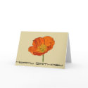 poppy cards by Libby poppy cards