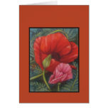 poppy card #2