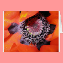 poppy cards