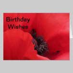 POPPY cards