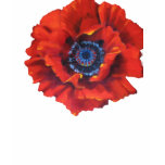 Poppy cut out t-shirts