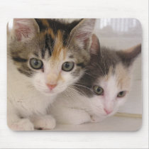 Poppy & Daisy Mouse Mats