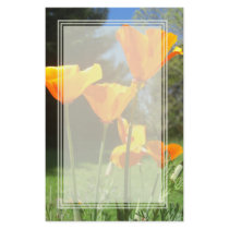 Poppy Day Blank Stationery
