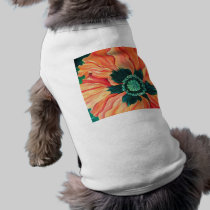 Poppy pet clothing