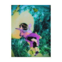 Poppy Fairy Postcard