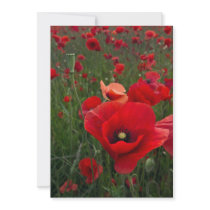 Poppy Field Invitation