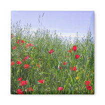 Poppy Field Magnet by emele1 Poppy Field Magnet