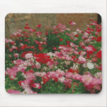 Poppy Field mousepads