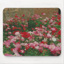 Poppy Field mousepads