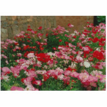 Poppy Field photo sculptures