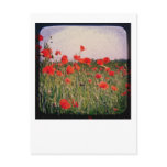 Poppy Field Postcard