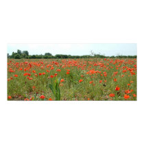 Poppy Field posters by plasticcustard Poppy Field posters