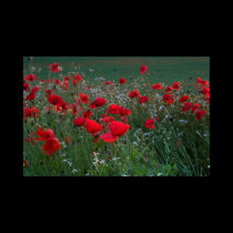 Poppy Field. Poster by cARTerART posters