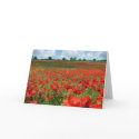 Poppy Fields cards