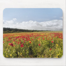 Poppy Fields II mouse mat mousepads