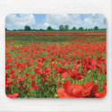 Poppy Fields mousepads by catchthenextwave Poppy Fields mousepads